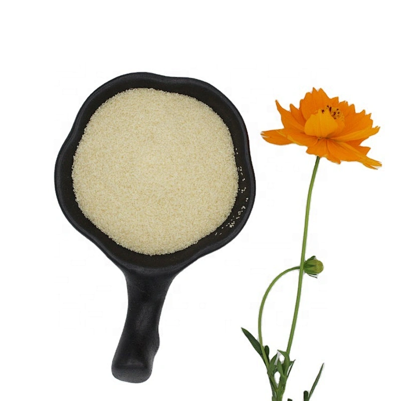 Food Additive Gelatin Powder Food Grade Bulk Gelatin 250 Bloom Powder bovine buy gelatin price